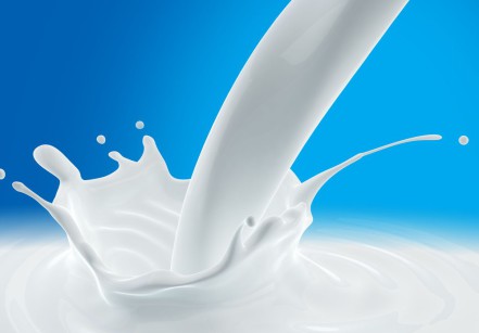 Milk Splash